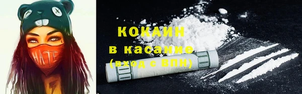 твердый Новозыбков