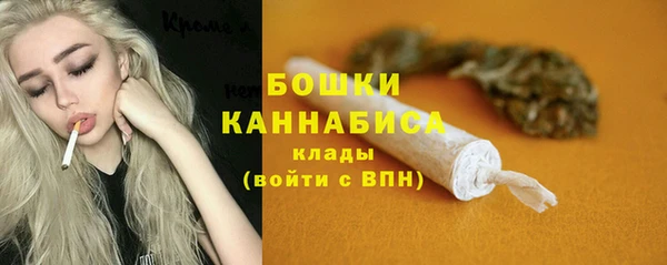 прущие грибы Нягань