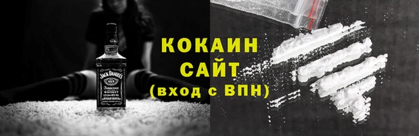 твердый Новозыбков