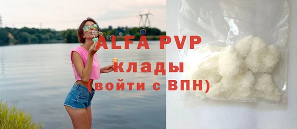 прущие грибы Нягань