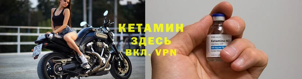 твердый Новозыбков