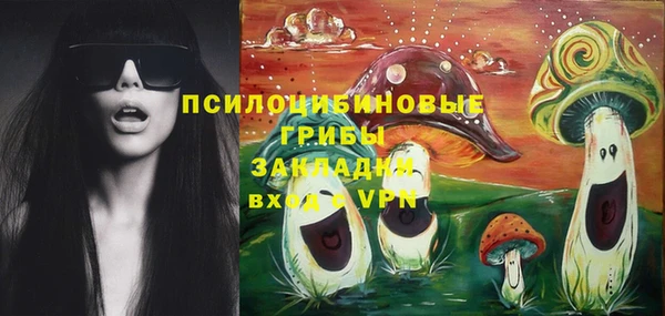 твердый Новозыбков