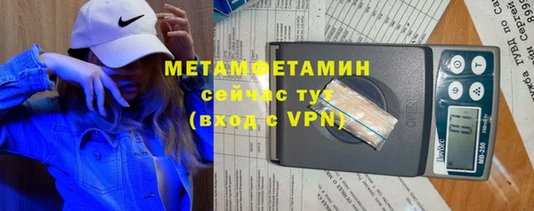 прущие грибы Нягань
