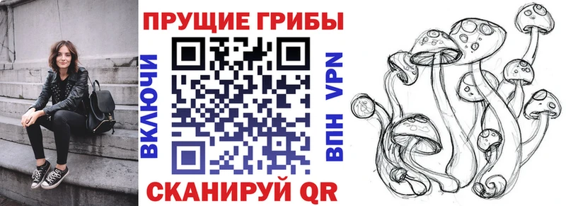 Псилоцибиновые грибы GOLDEN TEACHER  Кимры 
